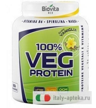 100% Vegetal Protein Vaniglia 750g