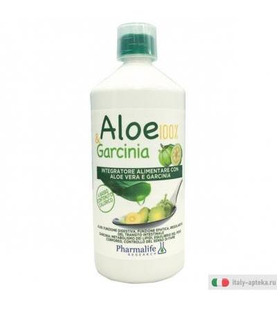 Aloe E Garcinia 1L
