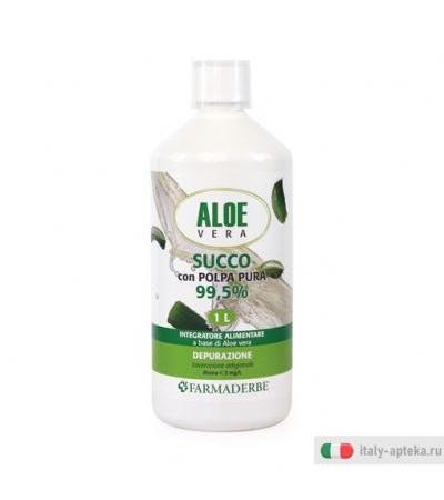 Aloe Vera Succo Polpa 1Lt