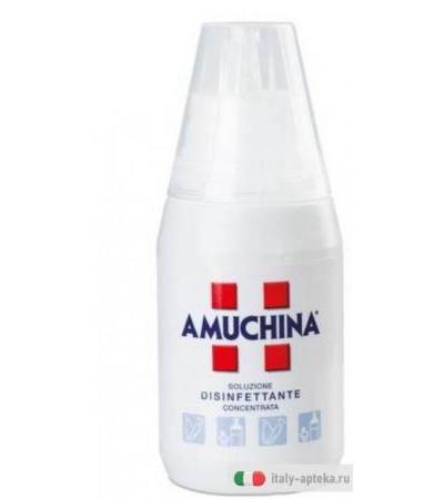 Amuchina 100% 500 ml Promo