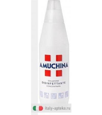 Amuchina 100% Concentrata 1L Promo