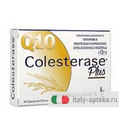 Colesterase Plus 30Capsule