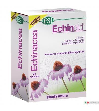 Echinaid 60 Capsule