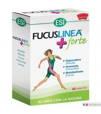 Fucuslinea + Forte 45 Ovalette