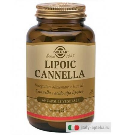 Lipoic Cannella Solgar 60 Capsule