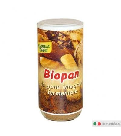 Natural Point Biopan Cereali Fermentati Bio 250g