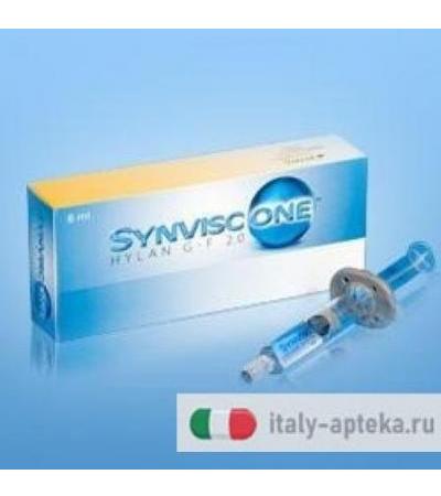 Synvisc One Siringa Acido Ialuronico 1 X 6 ml
