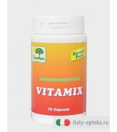 Vitamix 70cps