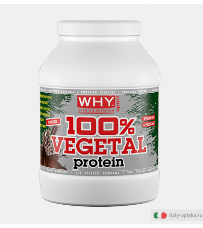 Why 100% Vegetal Protein Cacao 750g