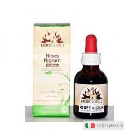 Fitoblasto Ribes Nigrum 50ml