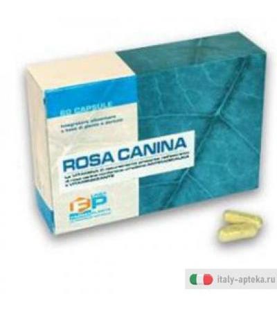 Rosa Canina 60cps