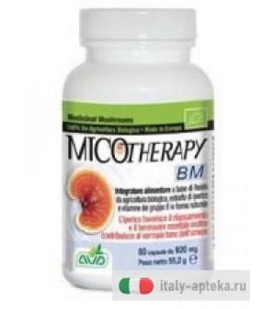 AVD Micotherapy BM integratore alimentare 60 capsule da 920mg