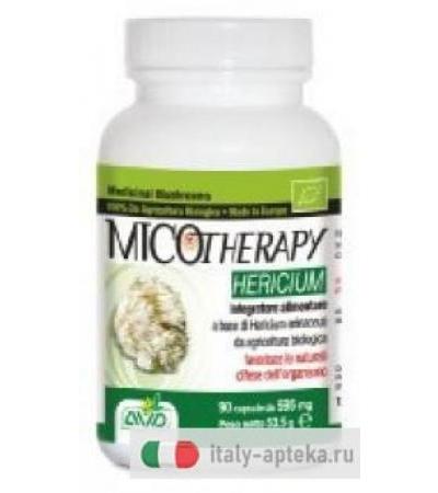 AVD Micotherapy hericium 90 capsule