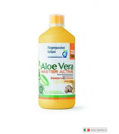 Biodue Aloe Vera Master Active gusto zenzero e limone integratore alimentare utile per la digestione 1 litro