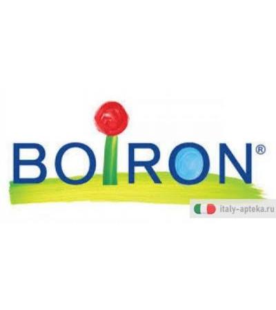 Boiron Obsidienne 8DH medicinale omeopatico 12 fiale