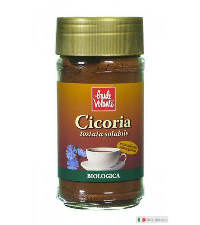 Cicoria tostata solubile biologica 100 g