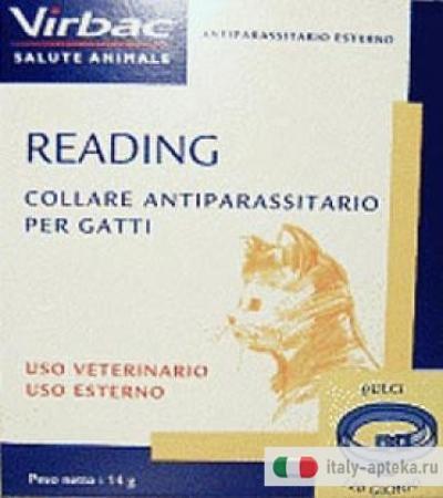 Collare reading per gatti gr 14