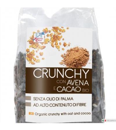 Crunchy con avena e cacao Bio 375g
