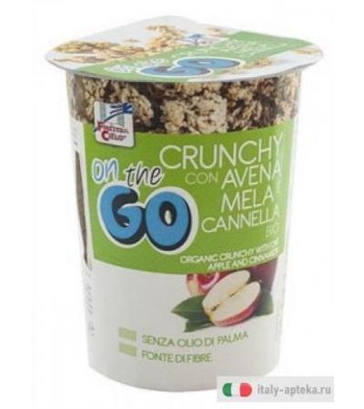 Crunchy On the Go con avena, mela e cannella Bio 80gr