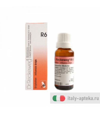 Dr. Reckeweg Gocce R6 Medicinale Omeopatico 22ml