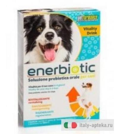 Enerbiotic Soluzione prebiotica orale per cane 6 buste da 60ml
