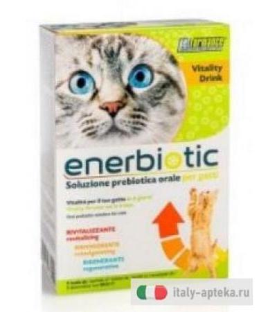 Enerbiotic Soluzione prebiotica orale per gatti 6 buste da 60ml
