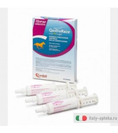 GastroRace con promugel energia e protezione gastrica per la competizione pasta orale per siringa - cavalli 3 siringhe da 50 ml
