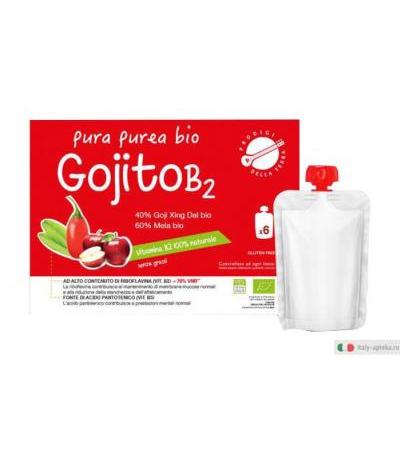 Gojito B2 Pura Purea Bio 6 drink