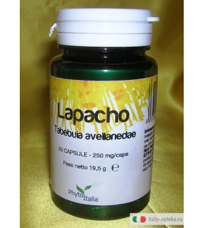 Lapacho antinfiammatorio 60 capsule