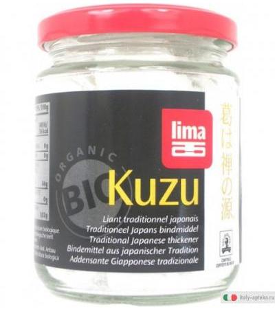 Lima Kuzu Addensante giapponese 125 grammi