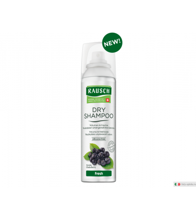 Rausch Dry Shampoo Fresh rinfrescante 150ml
