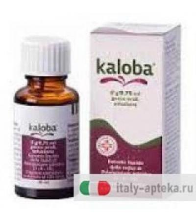 Schwabe Pharma Kaloba 8 g/9,75 ml gocce orali