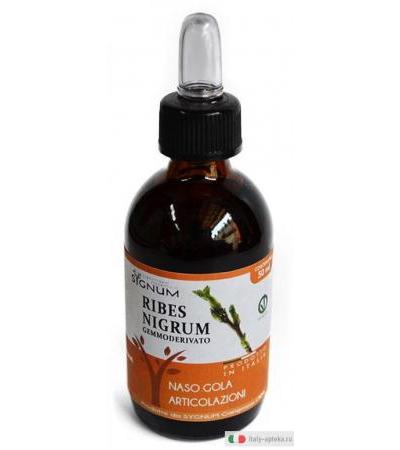 Sygnum Ribes Nigrum utile per naso e gola 50ml