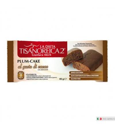 Tisanoreica 2 Plum cake al gusto di cacao 45g