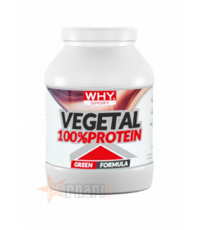 WHY SPORT VEGETAL 100% PROTEIN 750 GR Cacao