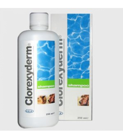 Clorexyderm Shampoo 250ml