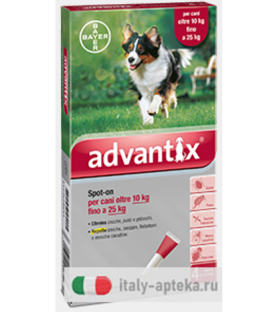 Advantix Spot On 4 Pipette Monodose 10-25 Kg