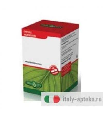 Agnocasto 60 Capsule 400mg