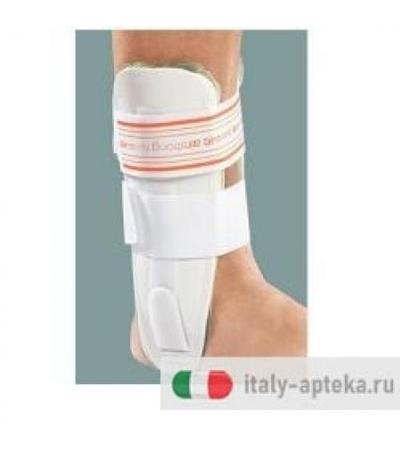 AIRSTRONG TUT BIVALVA ARIA GON