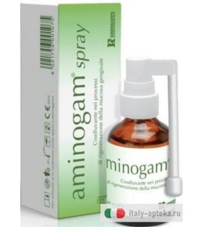 AMINOGAM SPRAY 15ML