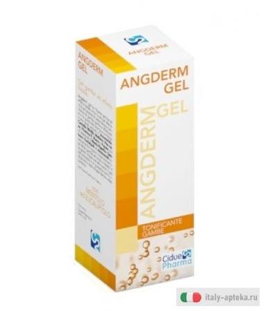 ANGDERM GEL GAMBE 100ML