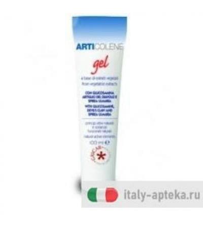 ARTICOLENE GEL 100ML