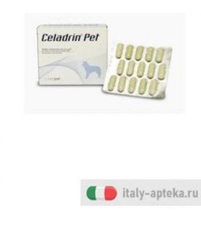 CELADRIN PET VETERINARIO 60CPR