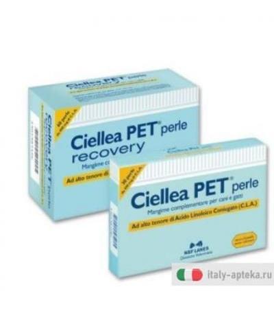 CIELLEA PET RECOVERY 60PRL