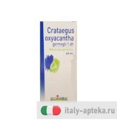 Crataegus Oxyacantha Macerato Glicerico 60ml