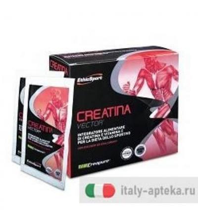 CREATINA VECTOR 20BUST 8G