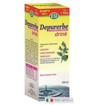 DEPURERBE DRINK 250ML OFS 20%