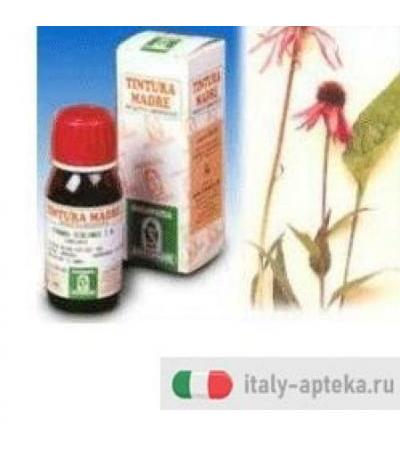 Echinacea 59 Tintura Madre 50ml