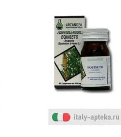 EQUISETO 60CPS 500MG