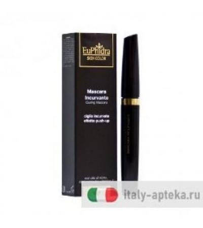 Euphidra mascara incurvante